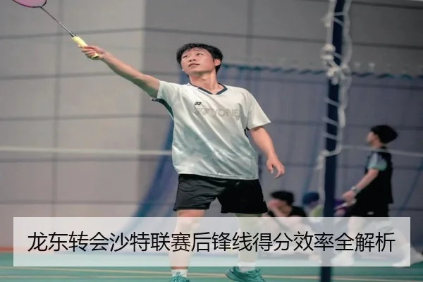 龙东转会沙特联赛后锋线得分效率全解析 | haixing